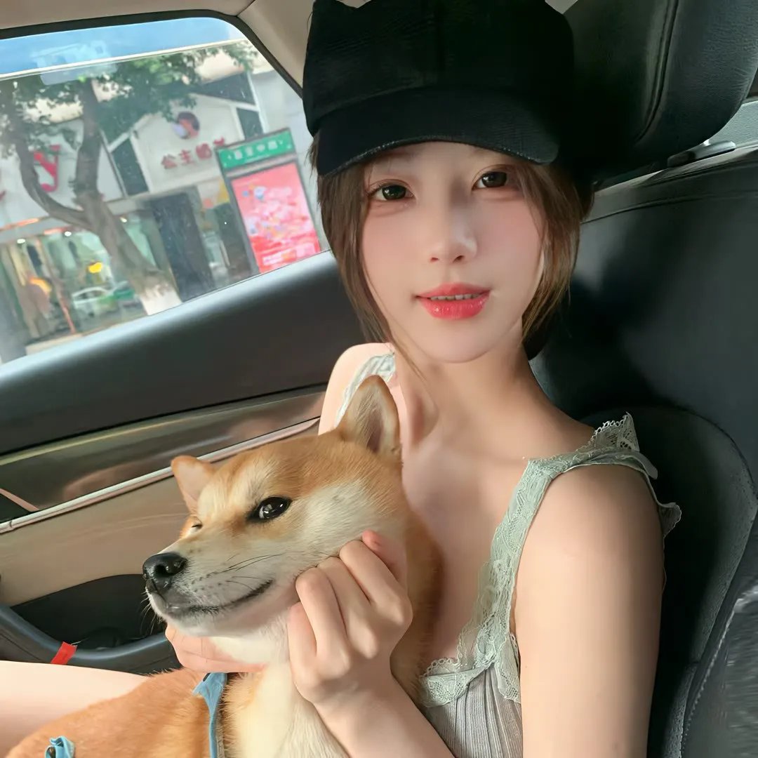 淡季 高清封面